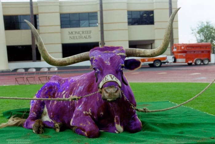 F626078D-8DA5-4C01-873A-6F1F049D6CD8